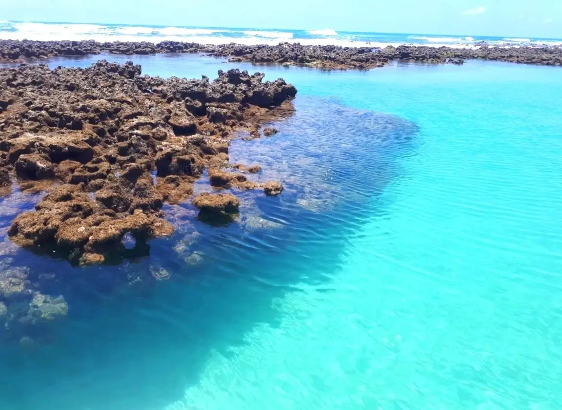 Recife de Coral - Tamandaré